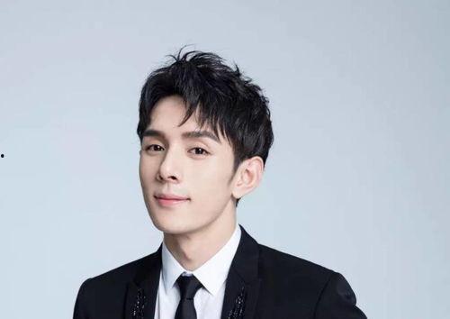 郑凯爆料魏晨视频播放,郑凯揭露魏晨视频播放背后真相 第3张 郑凯爆料魏晨视频播放,郑凯揭露魏晨视频播放背后真相 第3张