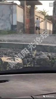 最新散兵爆料图片大全高清,高清图片大全，揭秘神秘角色与精彩剧情  第3张